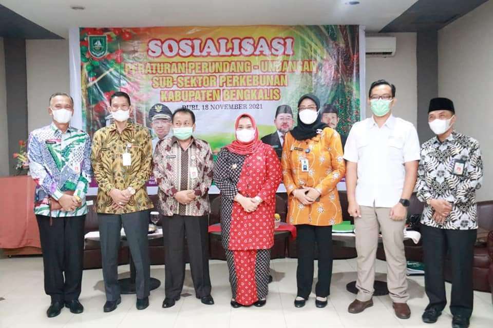 Bupati Bengkalis buka Sosialisasi Kebijakan dan Ketentuan Perundangan-Undangan sub-sektor perkebunan