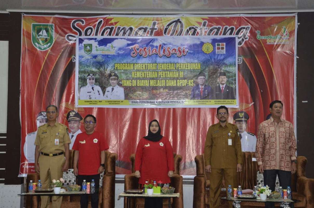 Sosisalisasi Program Direktorat Jenderal Perkebunan Kementerian Pertanian RI Dalam Mendukung Percepatan Pengembangan Kelapa Sawit