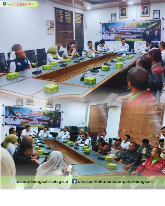 Laksanakan Sosialisasi PSR, Dinas Perkebunan Bengkalis Targetkan 300 Hektare pada 2026
