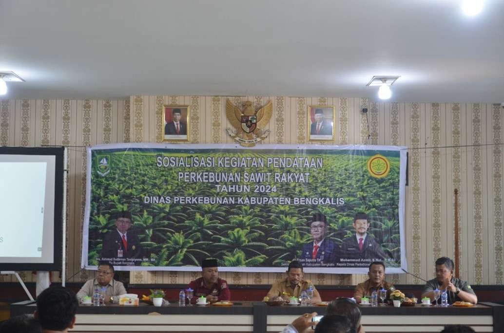 Sosialisasi Pendataan Perkebunan Sawit Rakyat dan Dana Bagi Hasil Kabupaten Bengkalis Tahun 2024 di kecamatan Rupat dan Rupat Utara