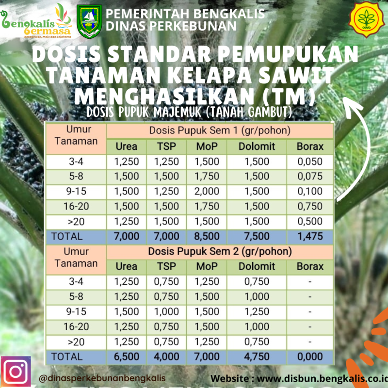 Stream